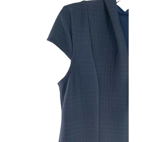 Sandra Darren Womens Sz 8 Sheath Stretch Pleated Capped Sleeves Casual Dress NEW - Picture 6 of 9